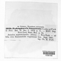 Image Associated With the Occurence